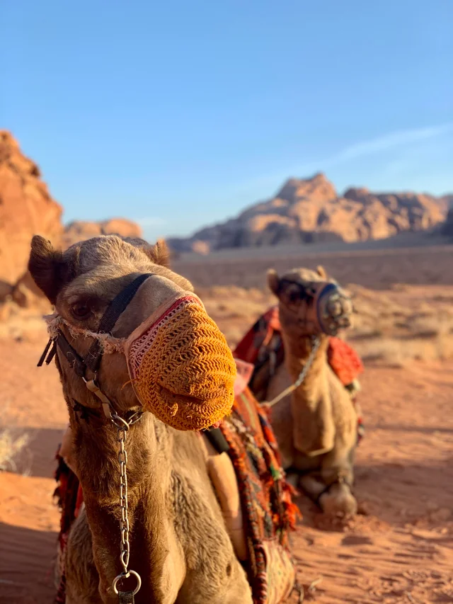 Wadi Rum